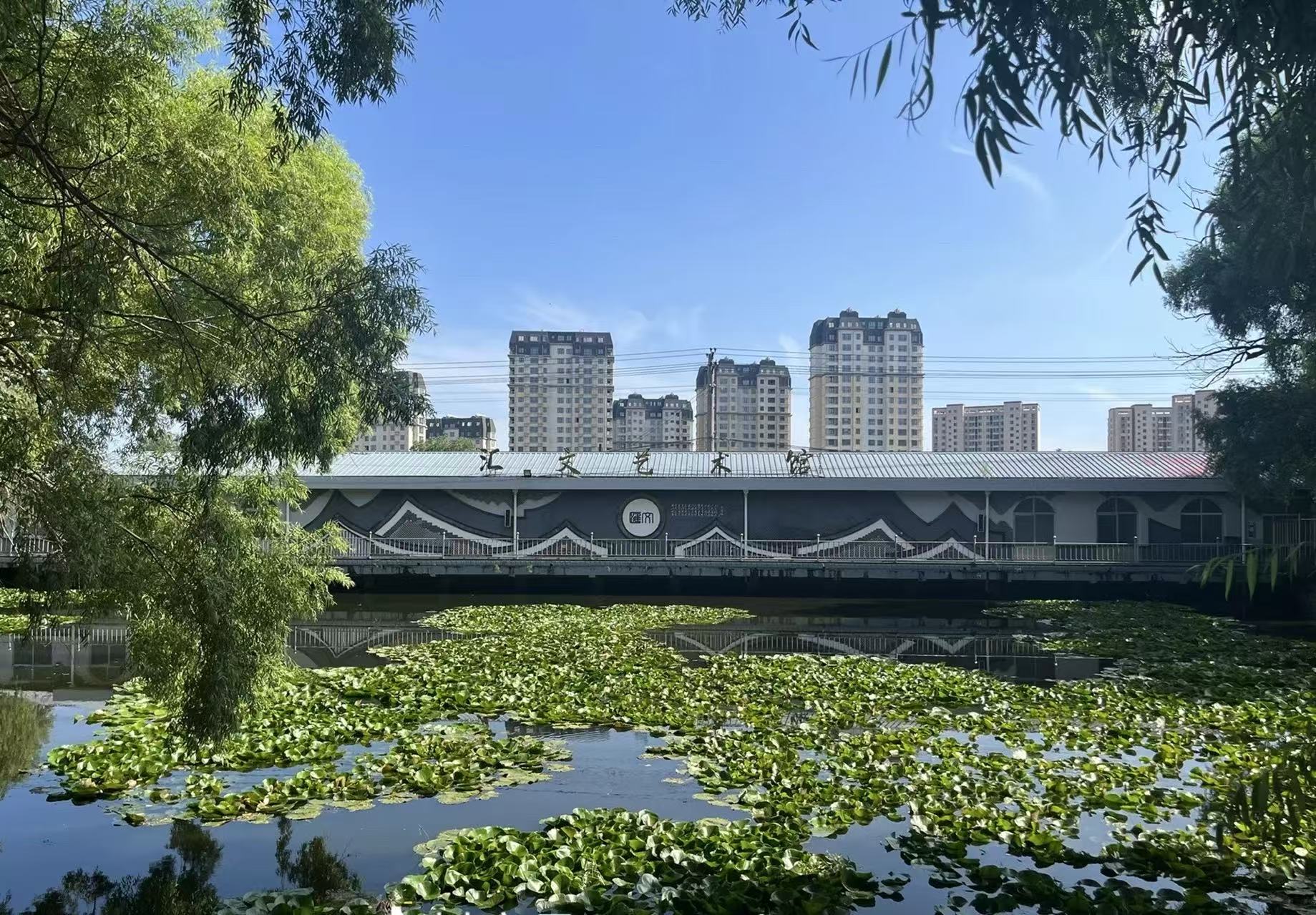 校园景观